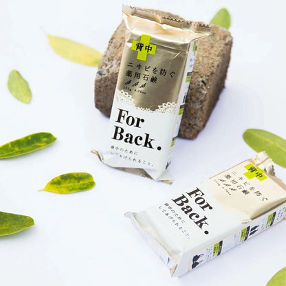 For Back Soap Herbal Citrus